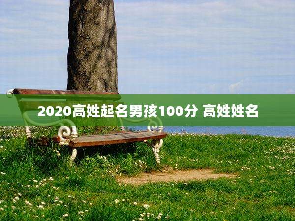 2020高姓起名男孩100分 高姓姓名
