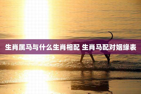 生肖属马与什么生肖相配 生肖马配对姻缘表
