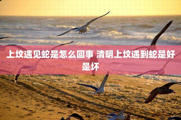 上坟遇见蛇是怎么回事 清明上坟遇到蛇是好是坏