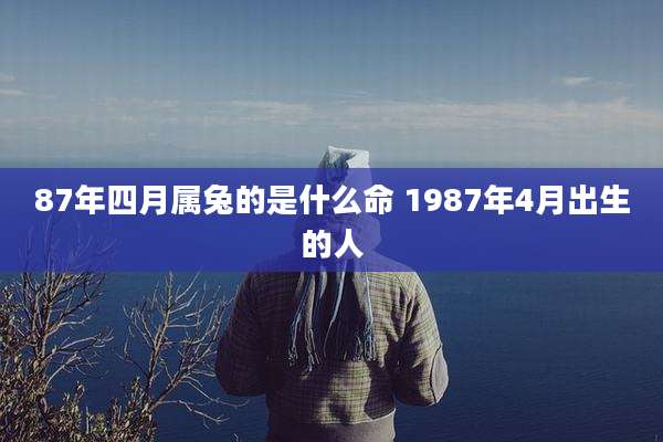 87年四月属兔的是什么命 1987年4月出生的人