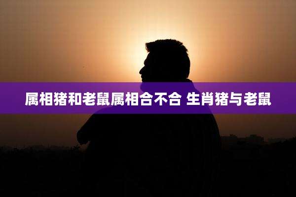 属相猪和老鼠属相合不合 生肖猪与老鼠