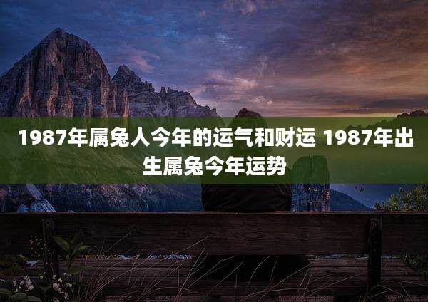 1987年属兔人今年的运气和财运 1987年出生属兔今年运势