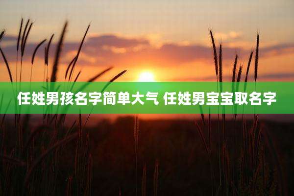 任姓男孩名字简单大气 任姓男宝宝取名字