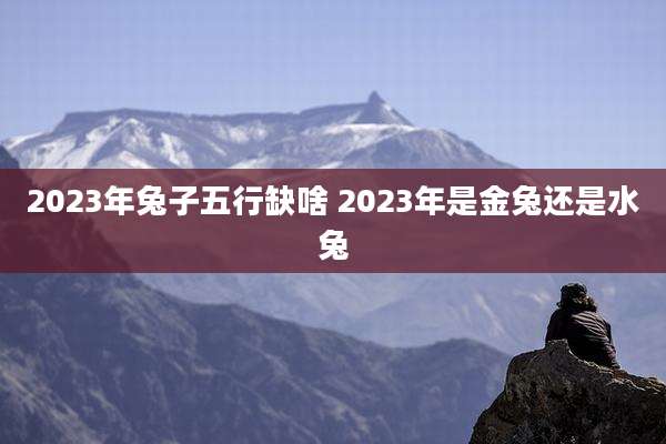 2023年兔子五行缺啥 2023年是金兔还是水兔