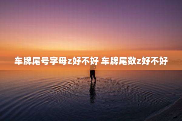 车牌尾号字母z好不好 车牌尾数z好不好