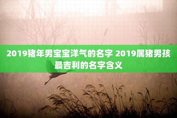 2019猪年男宝宝洋气的名字 2019属猪男孩最吉利的名字含义