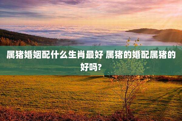 属猪婚姻配什么生肖最好 属猪的婚配属猪的好吗?