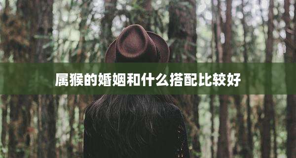 属猴的婚姻和什么搭配比较好