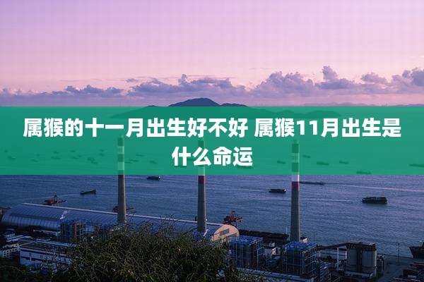 属猴的十一月出生好不好 属猴11月出生是什么命运