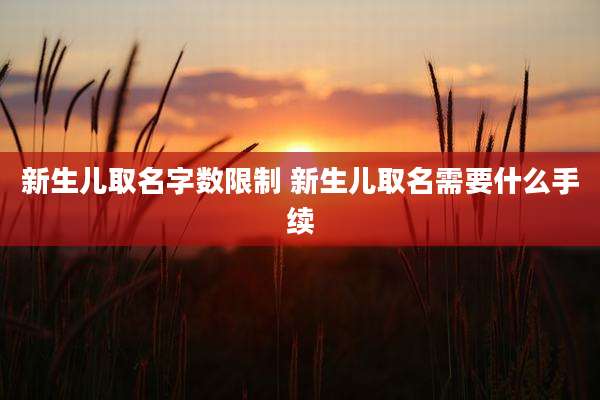 新生儿取名字数限制 新生儿取名需要什么手续
