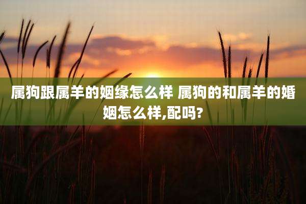 属狗跟属羊的姻缘怎么样 属狗的和属羊的婚姻怎么样,配吗?