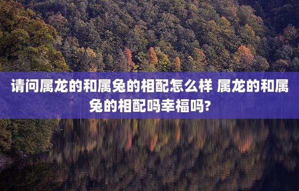请问属龙的和属兔的相配怎么样 属龙的和属兔的相配吗幸福吗?