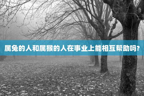 属兔的人和属猴的人在事业上能相互帮助吗?