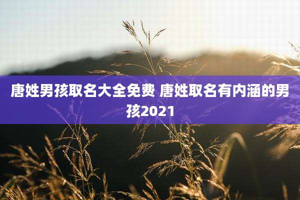 唐姓男孩取名大全免费 唐姓取名有内涵的男孩2021