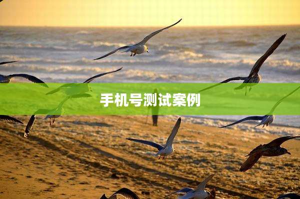 手机号测试案例