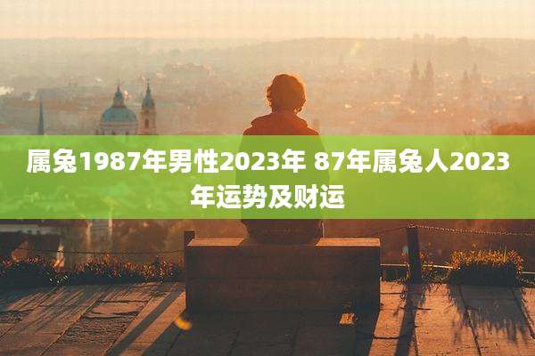 属兔1987年男性2023年 87年属兔人2023年运势及财运