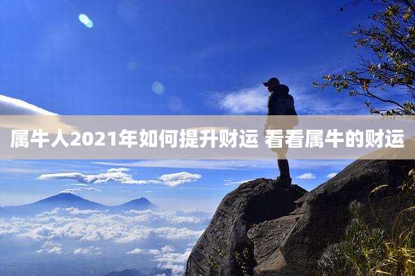 属牛人2021年如何提升财运 看看属牛的财运