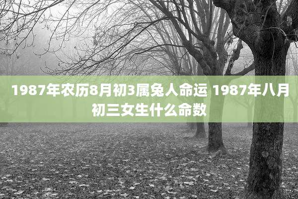 1987年农历8月初3属兔人命运 1987年八月初三女生什么命数