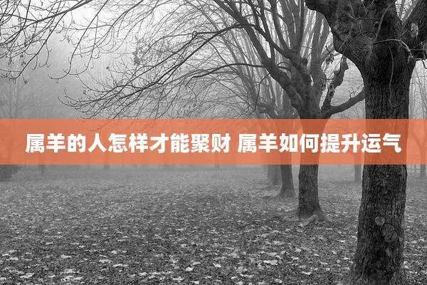 属羊的人怎样才能聚财 属羊如何提升运气