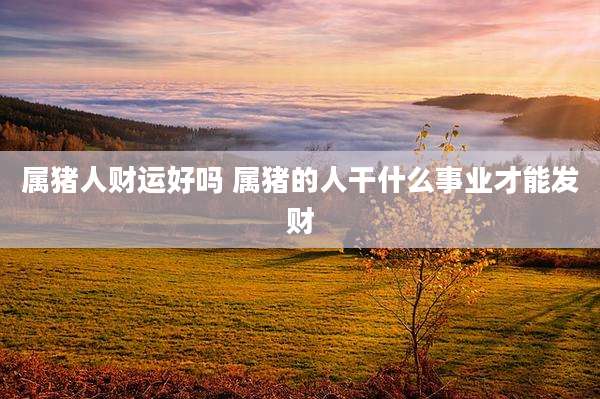 属猪人财运好吗 属猪的人干什么事业才能发财