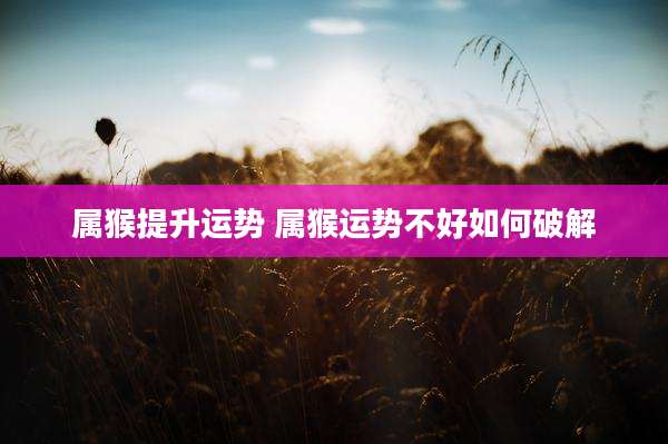 属猴提升运势 属猴运势不好如何破解