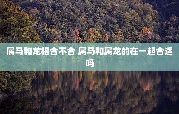 属马和龙相合不合 属马和属龙的在一起合适吗