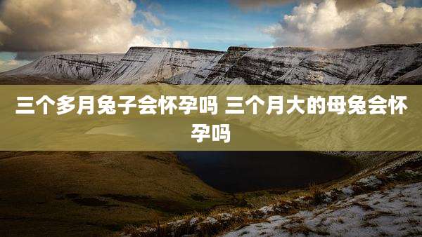 三个多月兔子会怀孕吗 三个月大的母兔会怀孕吗