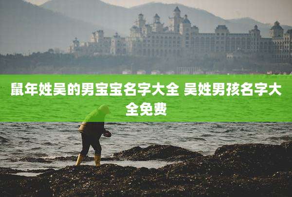 鼠年姓吴的男宝宝名字大全 吴姓男孩名字大全免费