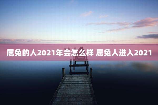 属兔的人2021年会怎么样 属兔人进入2021