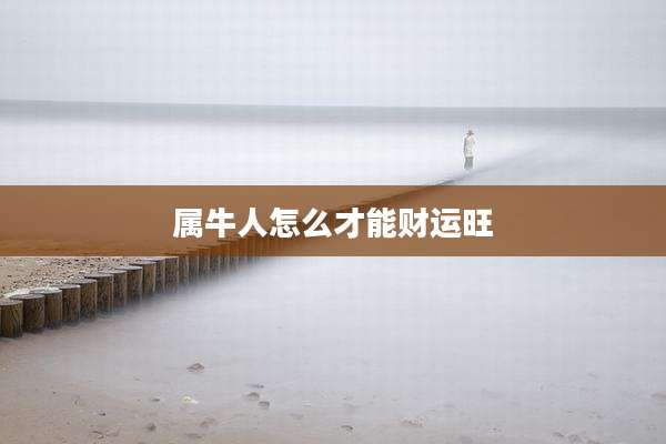 属牛人怎么才能财运旺