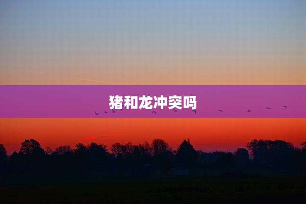 猪和龙冲突吗