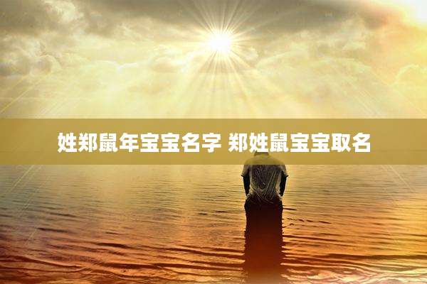 姓郑鼠年宝宝名字 郑姓鼠宝宝取名