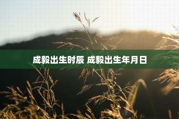 成毅出生时辰 成毅出生年月日