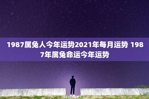 1987属兔人今年运势2021年每月运势 1987年属兔命运今年运势
