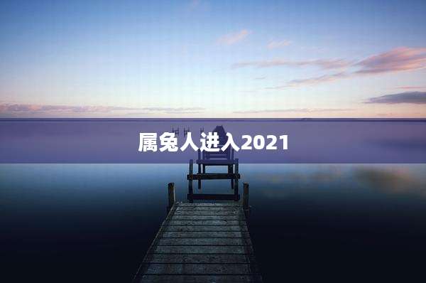 属兔人进入2021