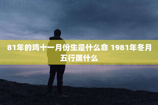 81年的鸡十一月份生是什么命 1981年冬月五行属什么