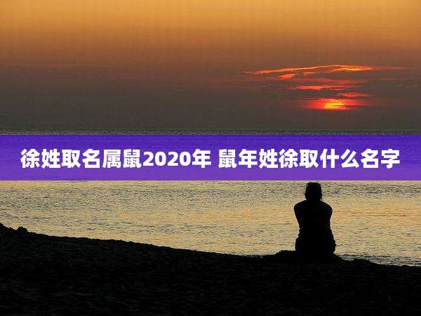 徐姓取名属鼠2020年 鼠年姓徐取什么名字