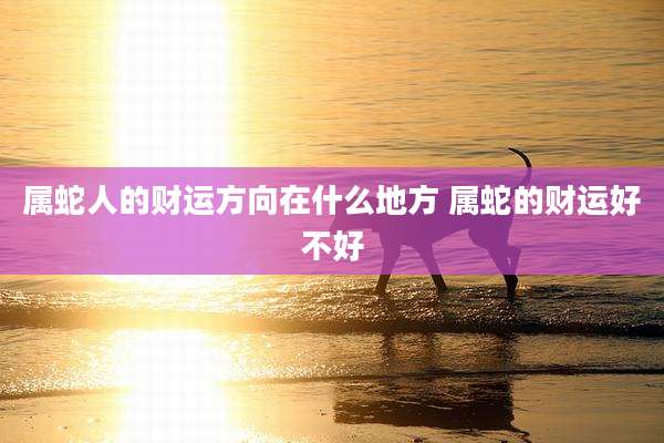 属蛇人的财运方向在什么地方 属蛇的财运好不好