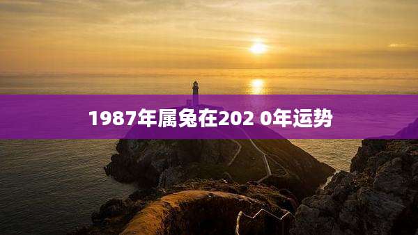 1987年属兔在202 0年运势