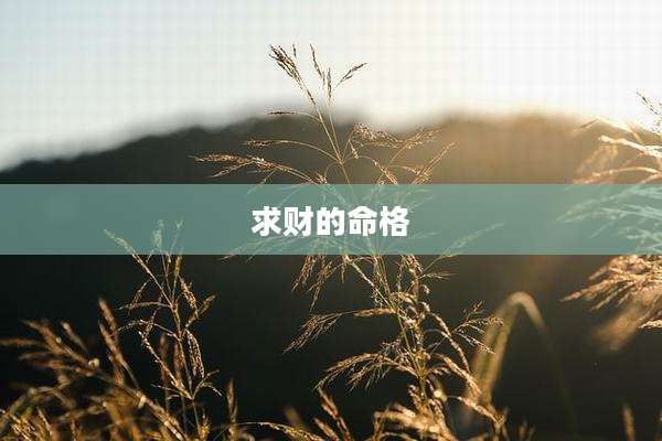 求财的命格