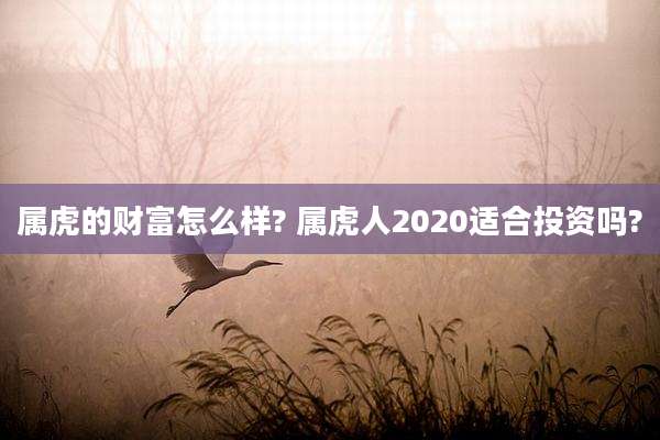 属虎的财富怎么样? 属虎人2020适合投资吗?