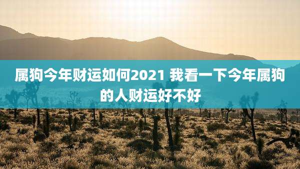 属狗今年财运如何2021 我看一下今年属狗的人财运好不好