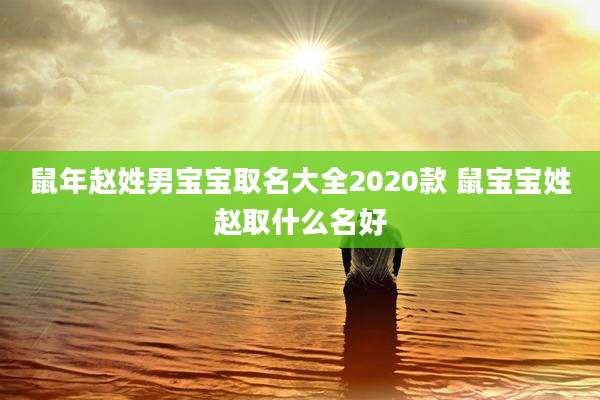 鼠年赵姓男宝宝取名大全2020款 鼠宝宝姓赵取什么名好