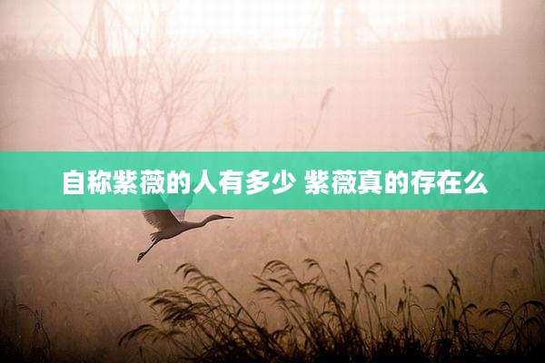 自称紫薇的人有多少 紫薇真的存在么