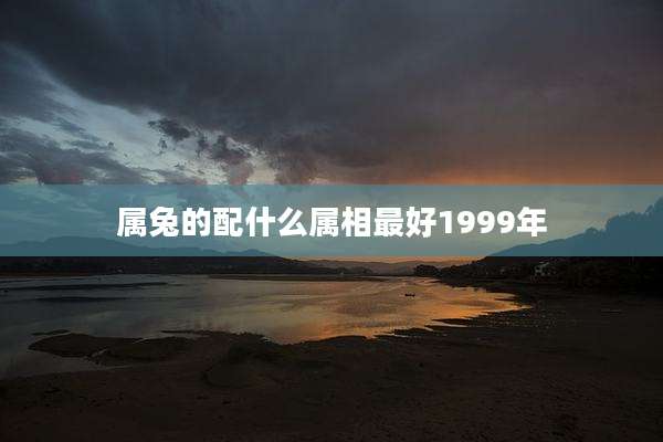 属兔的配什么属相最好1999年