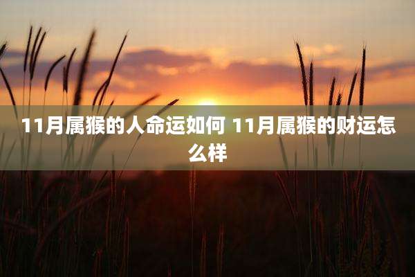 11月属猴的人命运如何 11月属猴的财运怎么样