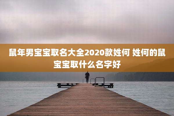 鼠年男宝宝取名大全2020款姓何 姓何的鼠宝宝取什么名字好