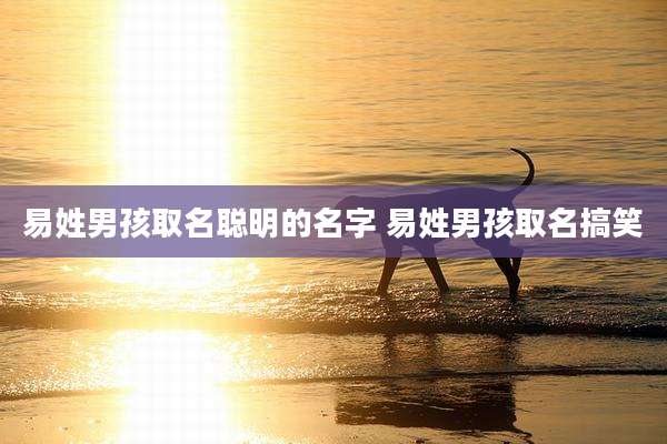 易姓男孩取名聪明的名字 易姓男孩取名搞笑