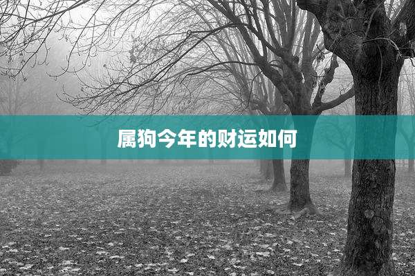 属狗今年的财运如何