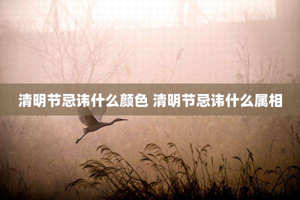清明节忌讳什么颜色 清明节忌讳什么属相